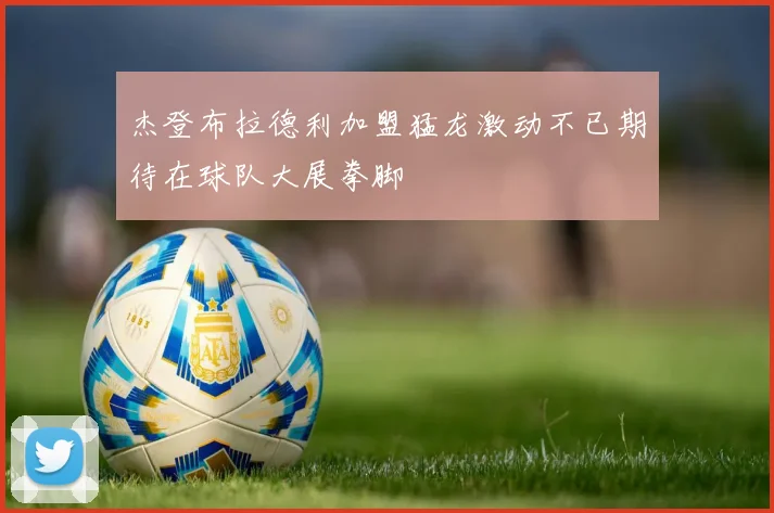 杰登布拉德利加盟猛龙激动不已期待在球队大展拳脚